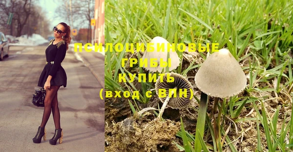 экстази Алзамай