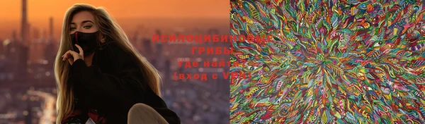 не бодяженный Алексин