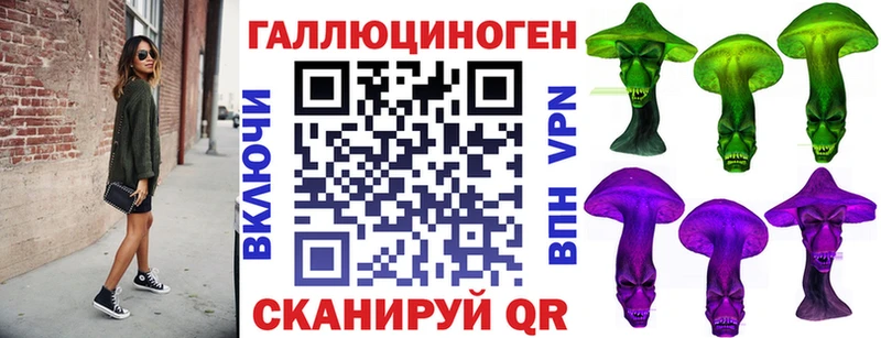 наркотики  блэк спрут сайт  Псилоцибиновые грибы Psilocybe  Шуя 