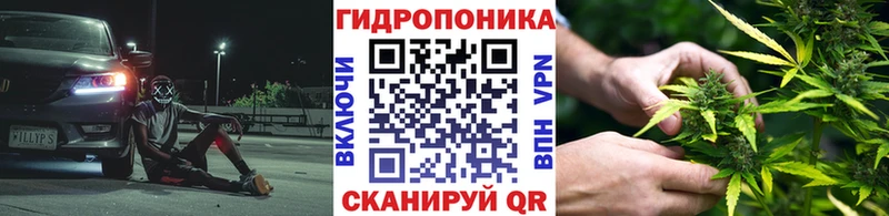 Марихуана OG Kush  Шуя 